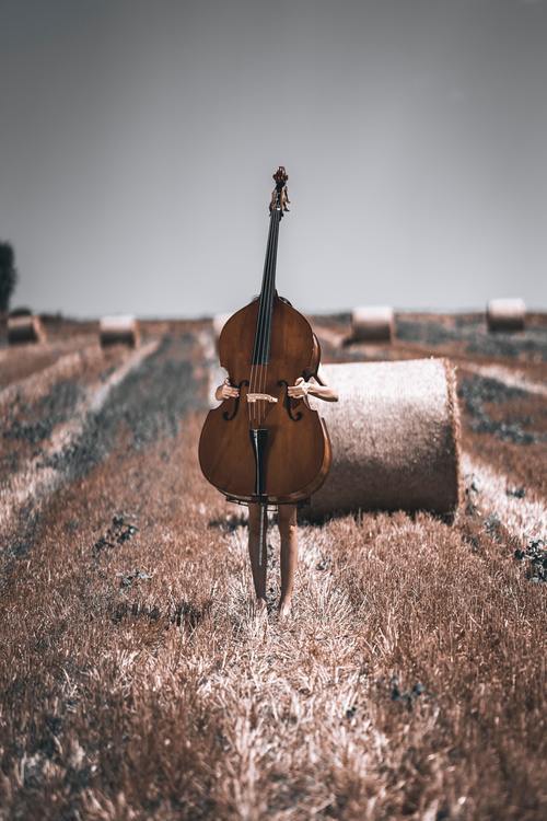 Folkemusikkveka med familien